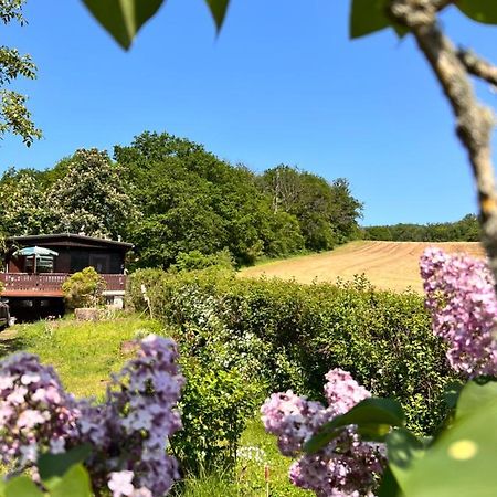 Ferienhaus Zittertal Neustadt Harz Haus I Villa Harztor Eksteriør billede