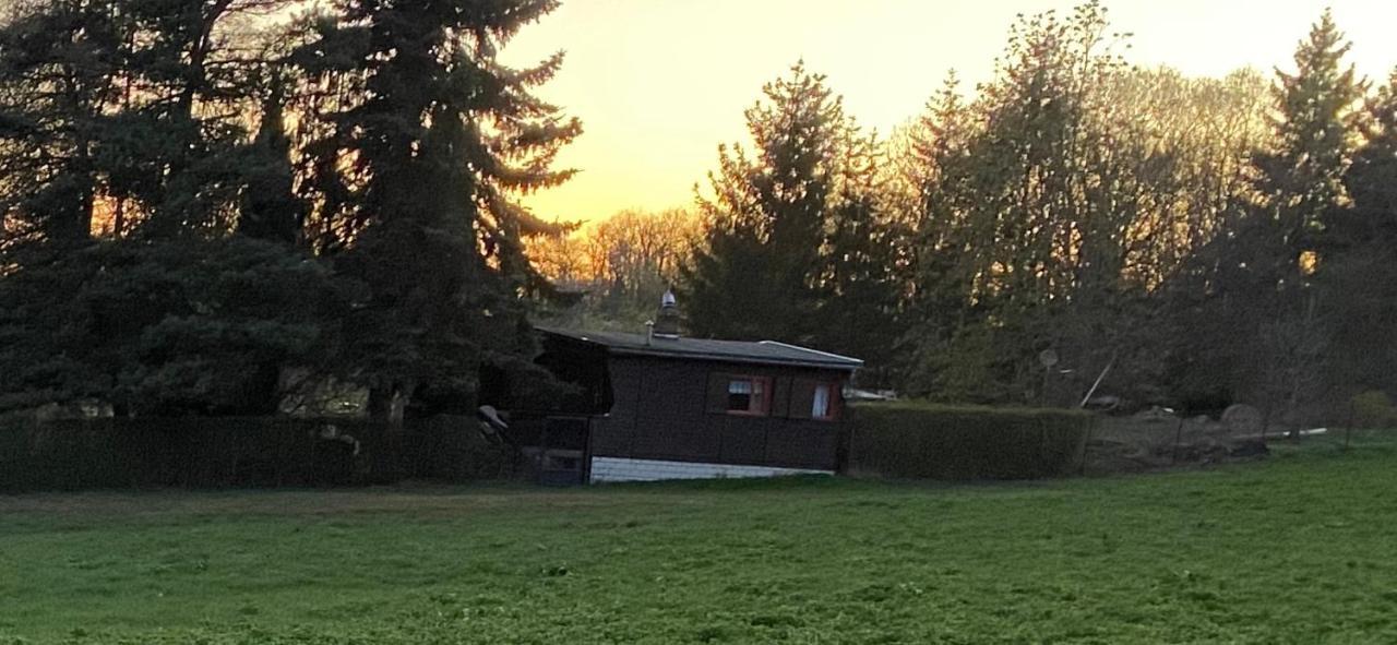 Ferienhaus Zittertal Neustadt Harz Haus I Villa Harztor Eksteriør billede