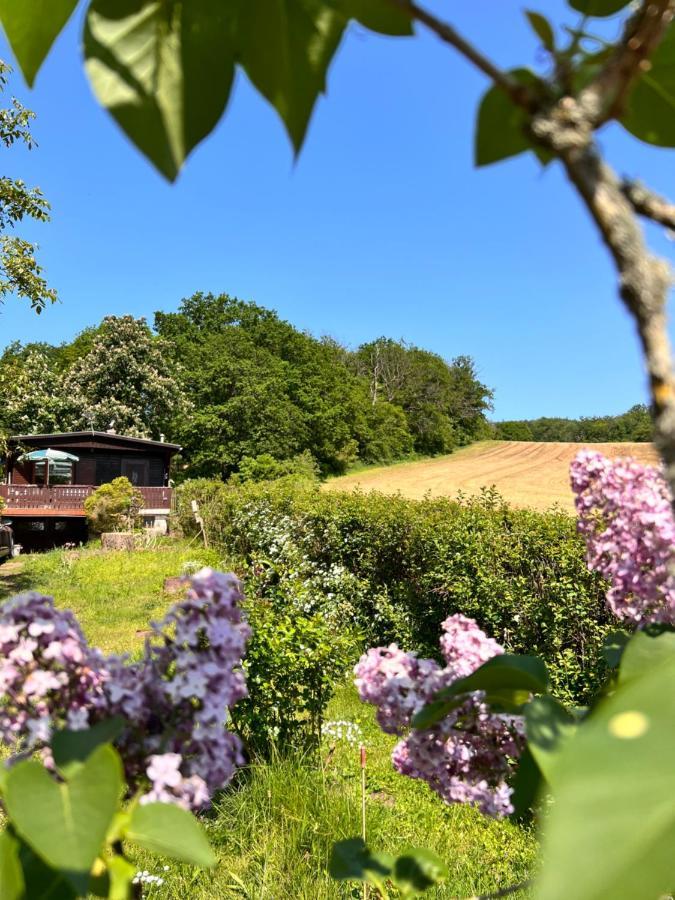 Ferienhaus Zittertal Neustadt Harz Haus I Villa Harztor Eksteriør billede